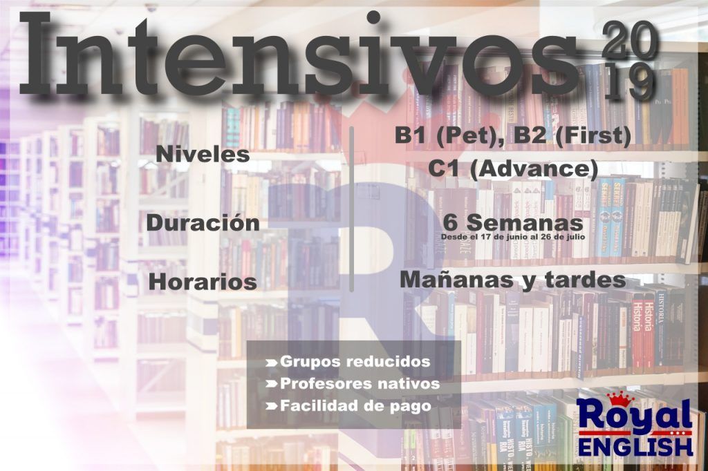Detalles curso intensivo